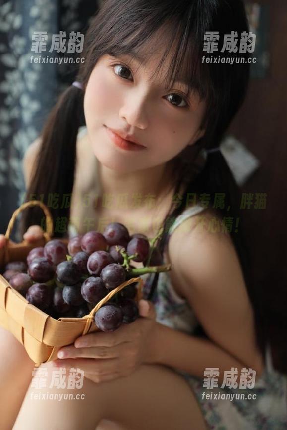 51吃瓜发布：今日专属，胖猫的超萌午后！宅家也能撒开心情！