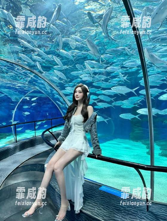 一边吃瓜一边看老虎菜，“51吃瓜网”ios绝对不容小觑！