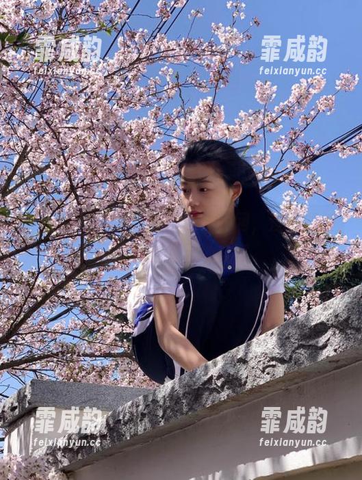 随手点开zztt11官网，没想到被网友们怼到无地自容。