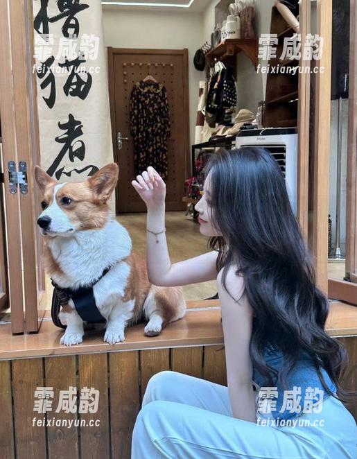 漫游五一吃瓜网，网页告诉你如何妥妥压制乌烟瘴气！