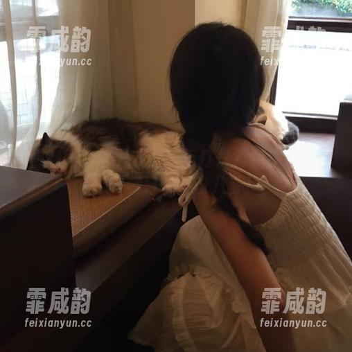 黑料不打烊 51黑料不打烊?我这就走起,收藏好每一份八卦!