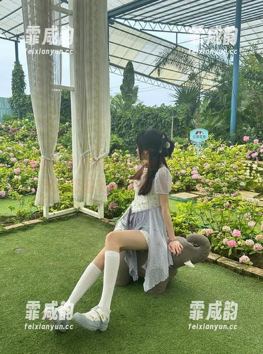 黑料吃瓜的线路真是神奇，网址后面藏着十万个八卦等待解锁
