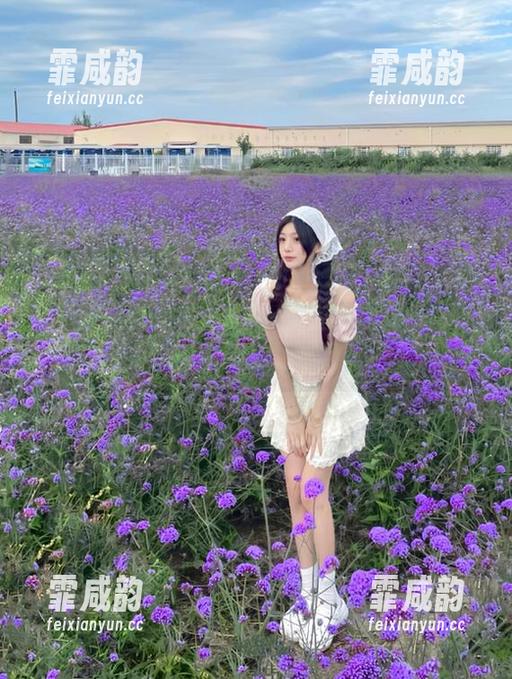 玩转国产黑料吃瓜网站，先找到入口再说，注意别迷路了！